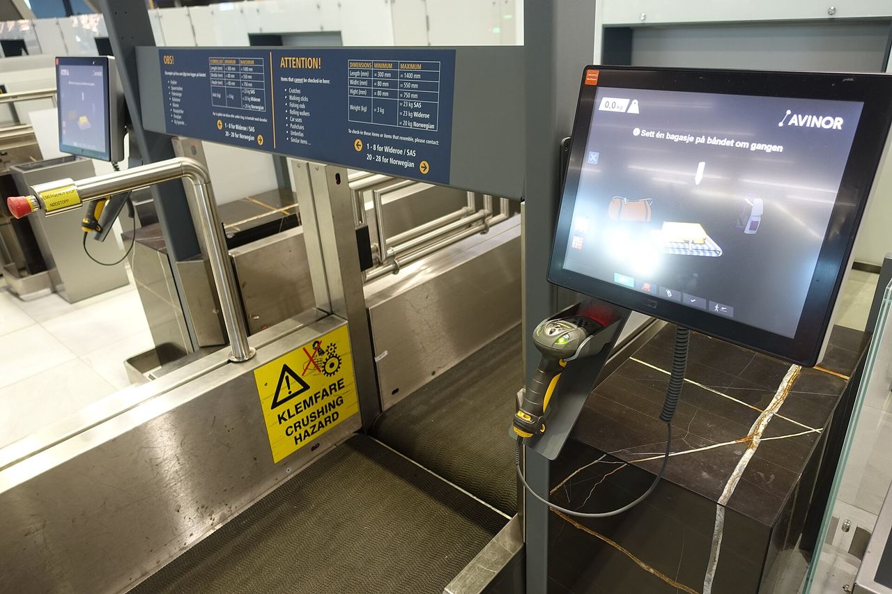 Checked baggage - practical detail